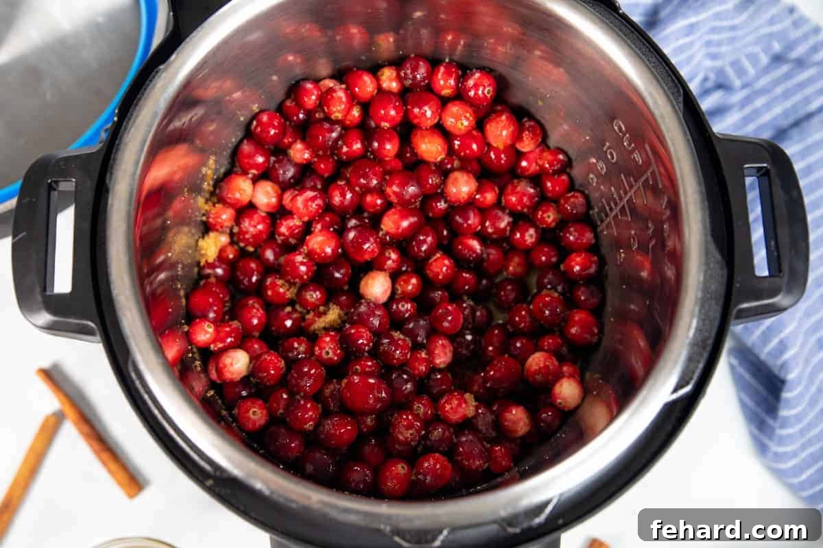 Cranberry Sauce Instant Pot Fresh cranberries and other ingredients for cranberry sauce are mixed inside the inner pot of an Instant Pot, ready for pressure cooking.