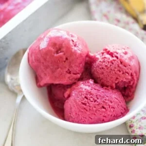 Healthy Blender Raspberry Ice Cream recipe card image