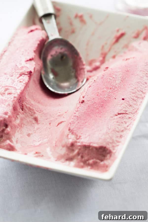 Fresh Strawberry and Coconut Milk Ice Cream - a simple and delicious no-bake frozen dessert.
