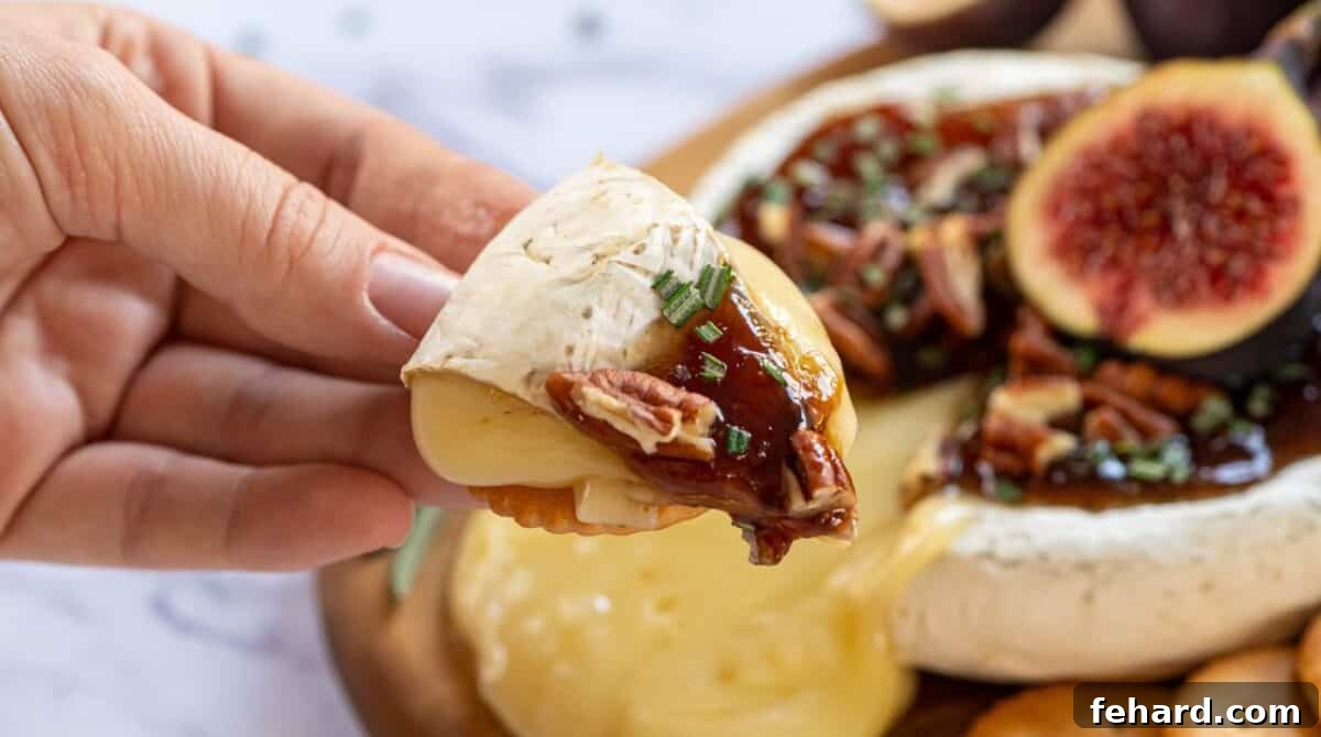 A delicious piece of baked brie on a cracker, with the creamy cheese oozing out, garnished with fresh herbs.