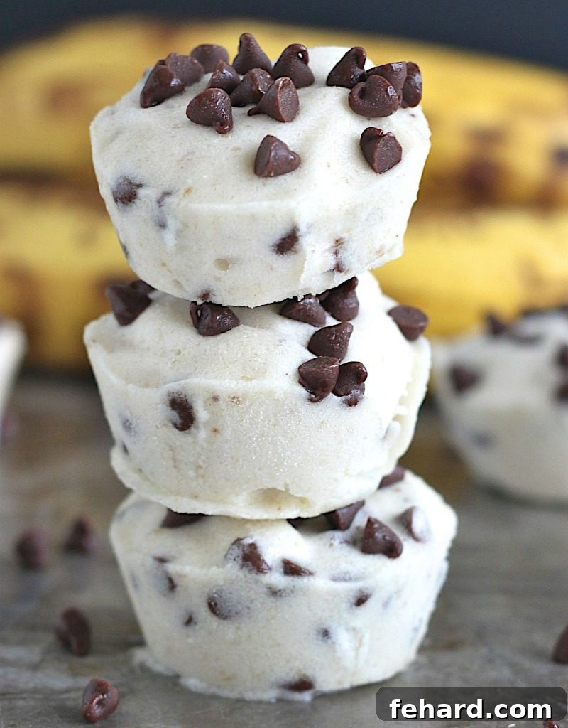 10 Guilt-Free Ice Cream Recipes 2 A neat stack of three delectable banana chocolate chip ice cream bites, generously topped with an assortment of mini chocolate chips.