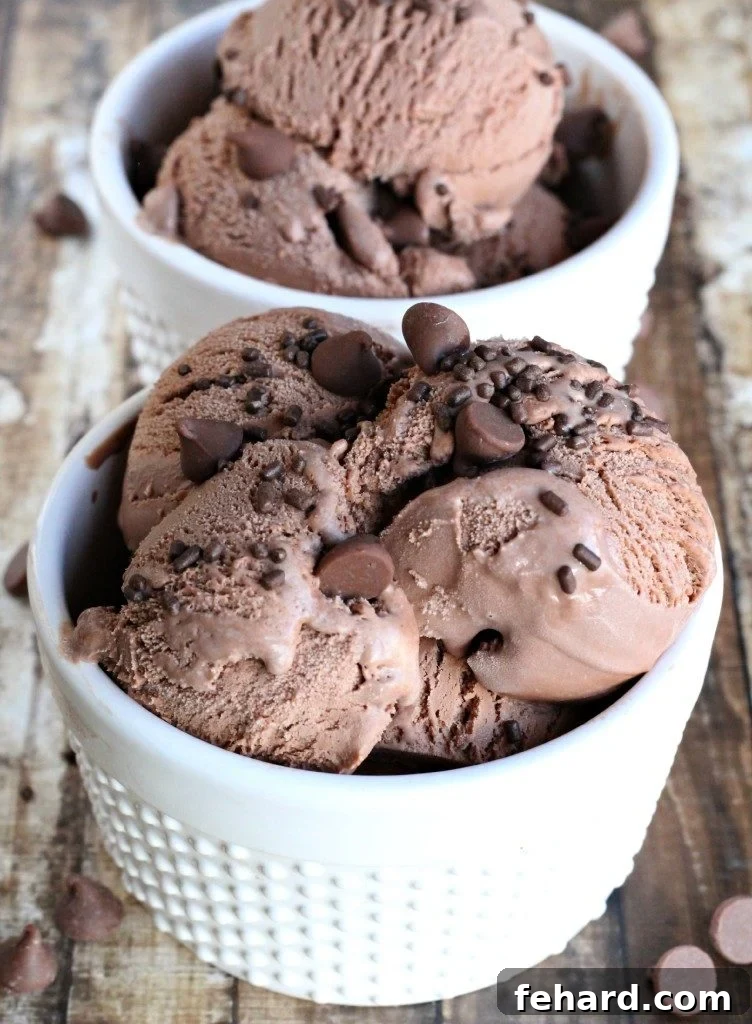 10 Guilt-Free Ice Cream Recipes 3 Two generous servings of rich chocolate chip dairy-free ice cream nestled in elegant white ice cream bowls, ready to be enjoyed.