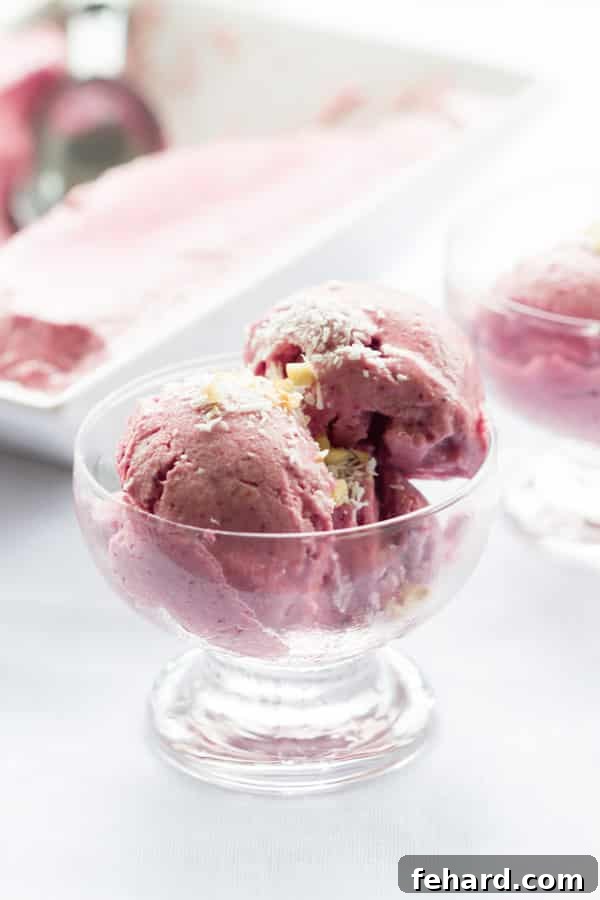 10 Guilt-Free Ice Cream Recipes 4 Two perfectly scooped portions of vibrant Dairy-Free Strawberry Ice Cream presented beautifully in a classic glass ice cream dish.