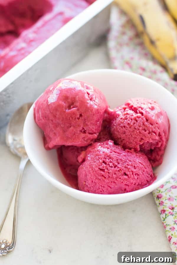 10 Guilt-Free Ice Cream Recipes 5 Three generous scoops of luscious Healthy Blender Raspberry Ice Cream elegantly arranged in a pristine white bowl, showcasing its vibrant color.
