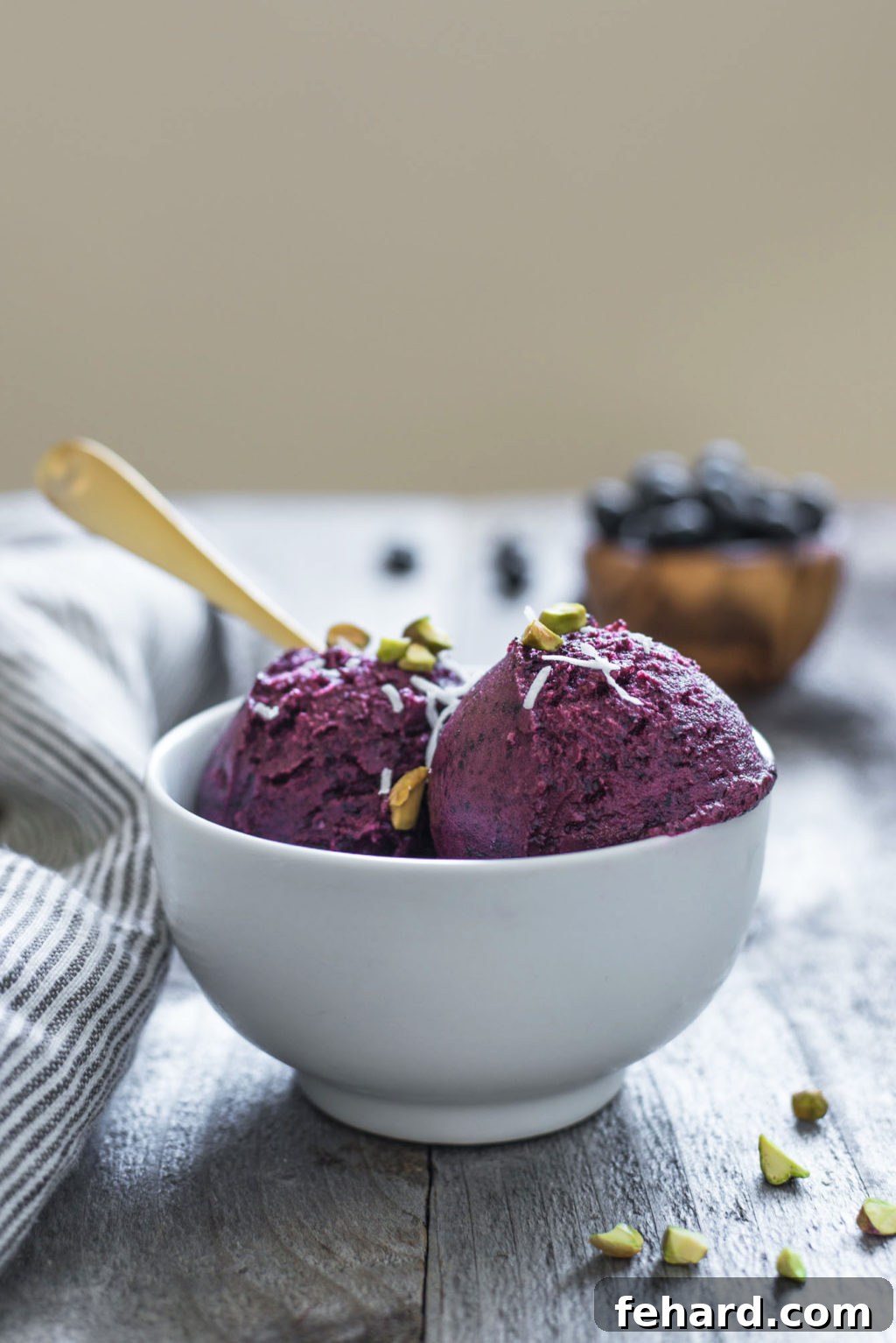 10 Guilt-Free Ice Cream Recipes 8 Two delectable scoops of blueberry frozen yogurt, beautifully garnished with bright green pistachios and shredded coconut, presented in a crisp white bowl.