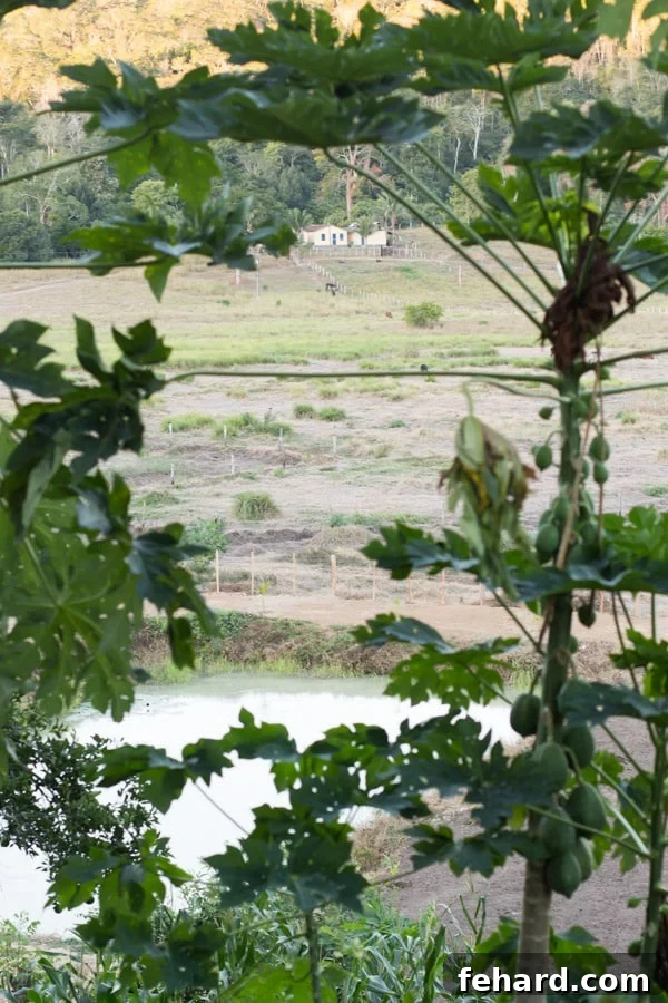 Long road trip in Brazil, journey to a family farm for June Festivals