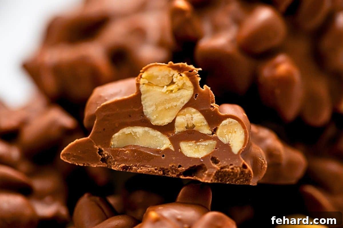 Crockpot Candy: The Easiest No-Bake Chocolate Treat Close up of a beautifully cut open piece of crockpot candy, revealing perfectly coated peanuts nestled within rich melted chocolate.