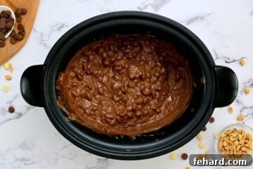 Set-It-and-Forget-It Sweets 6 Peanuts coated in melted peanut butter chips, white chocolate chips, and semi-sweet chocolate chips mixture inside slow cooker.