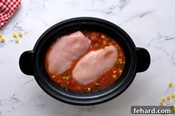 Chicken broth, beer, beans, corn, salsa, taco seasoning and chicken combined in the slow cooker.