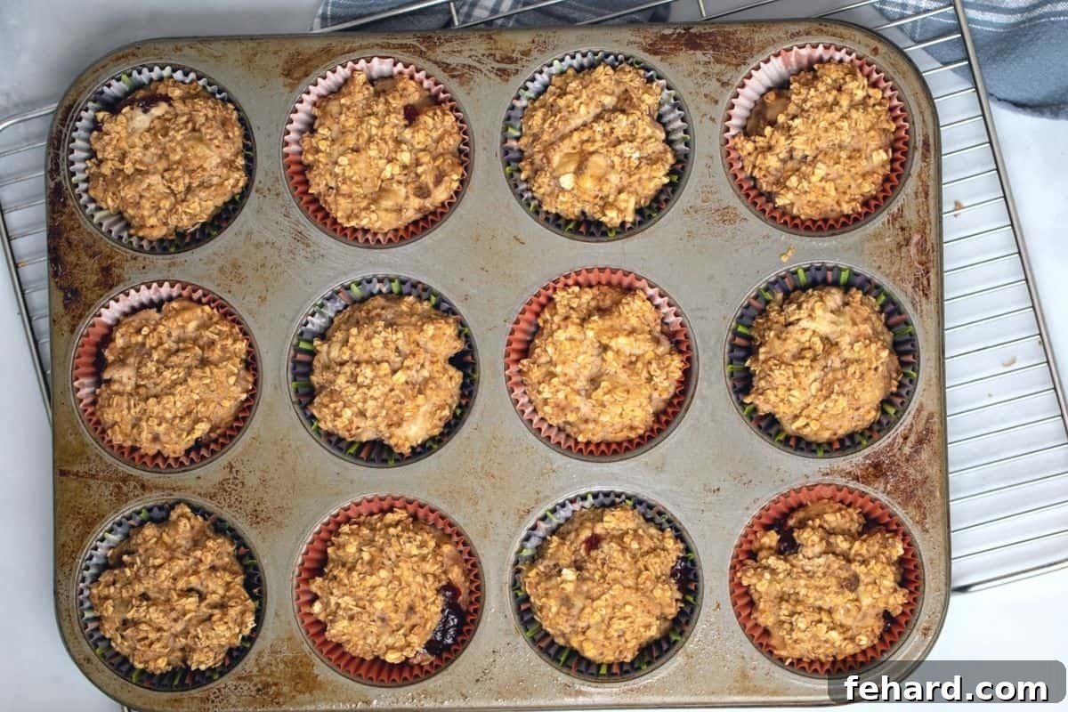 Freshly baked oatmeal cups, golden brown and perfectly risen, still in the muffin tin, highlighting their delicious and healthy appearance.
