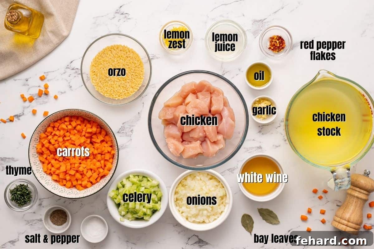 A curated display of fresh ingredients for chicken orzo soup, neatly arranged on a kitchen counter, labeled for easy identification.
