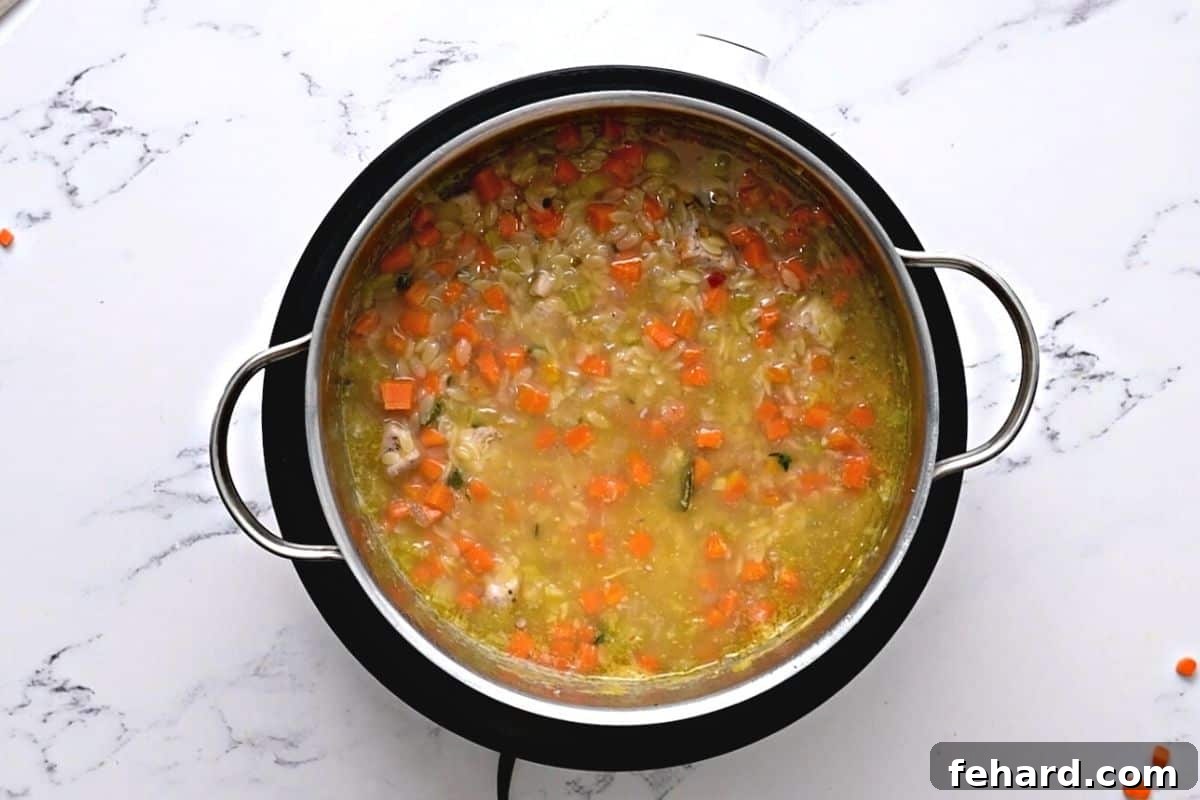 Chicken and orzo pasta simmering in a flavorful broth within a stockpot, cooking to perfection for the soup.