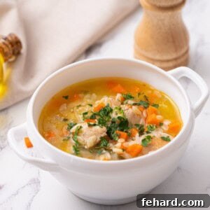 Bowl of chicken orzo soup topped with fresh parsley.