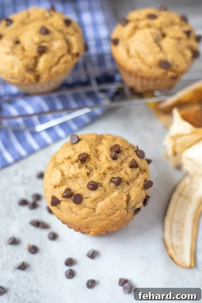 Baked Peanut Butter Banana Muffins next to cooling rack, showcasing a golden brown top and visible chocolate chips.