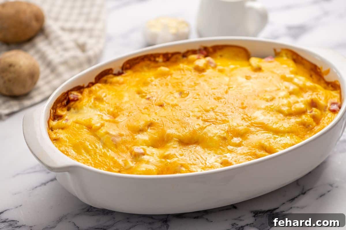 A white baking dish filled with bubbling, golden-brown cheesy scalloped potatoes and ham, fresh from the oven.