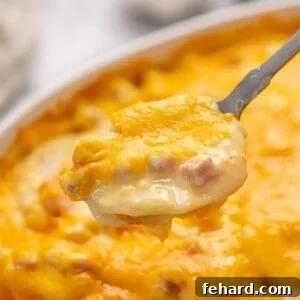 Scoop of cheesy scalloped potatoes with ham.