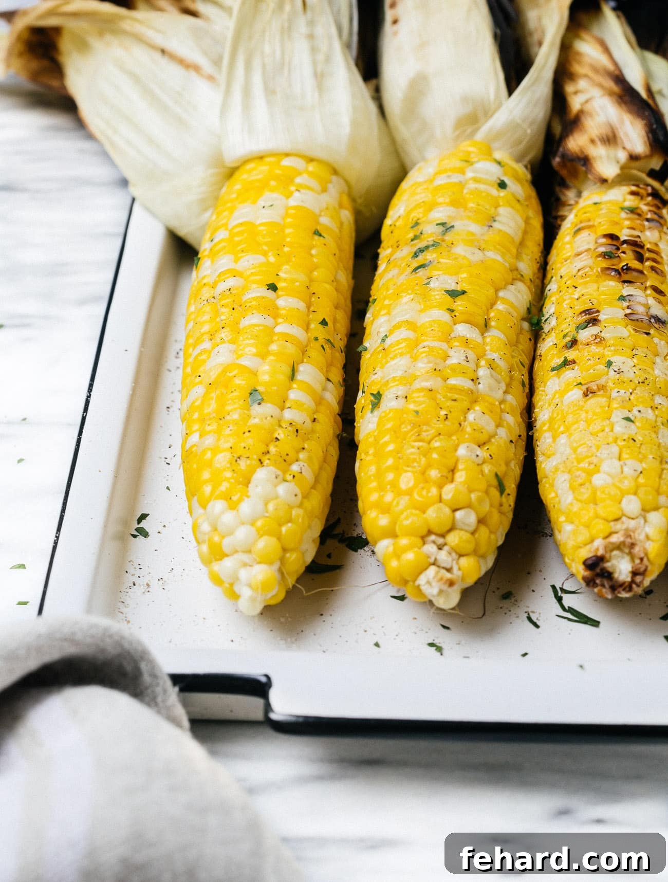 Closeup grilled corn on a cob on a white plate