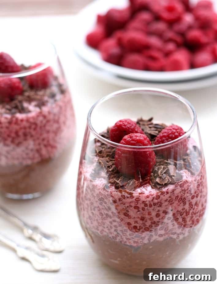 A elegant serving glass showcasing layers of rich chocolate and vibrant raspberry chia pudding, beautifully topped with fresh raspberries and a scattering of chocolate chips.