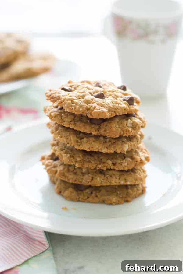 One-Bowl Blender Banana Oatmeal Muffins 8 Healthy Peanut Butter Oatmeal Cookies with a glass of milk.
