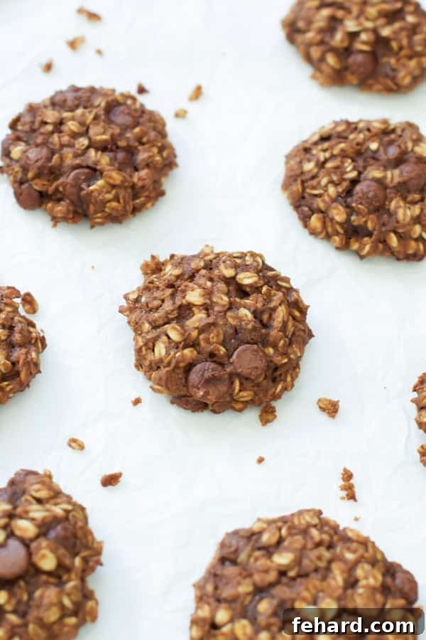 One-Bowl Blender Banana Oatmeal Muffins 9 Delicious Pumpkin Oatmeal Cookies stacked on a plate.