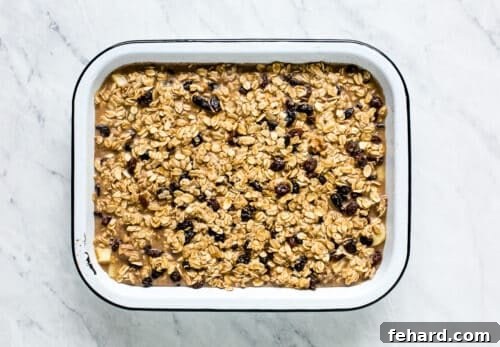 Comforting Apple Raisin Oatmeal Bake 15 Baked oatmeal with apple and raisins.