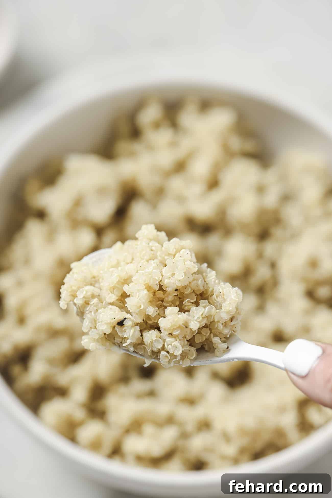 Close-up shot of perfectly cooked, fluffy quinoa resting on a wooden spoon, showcasing its light, airy, and well-separated grains.