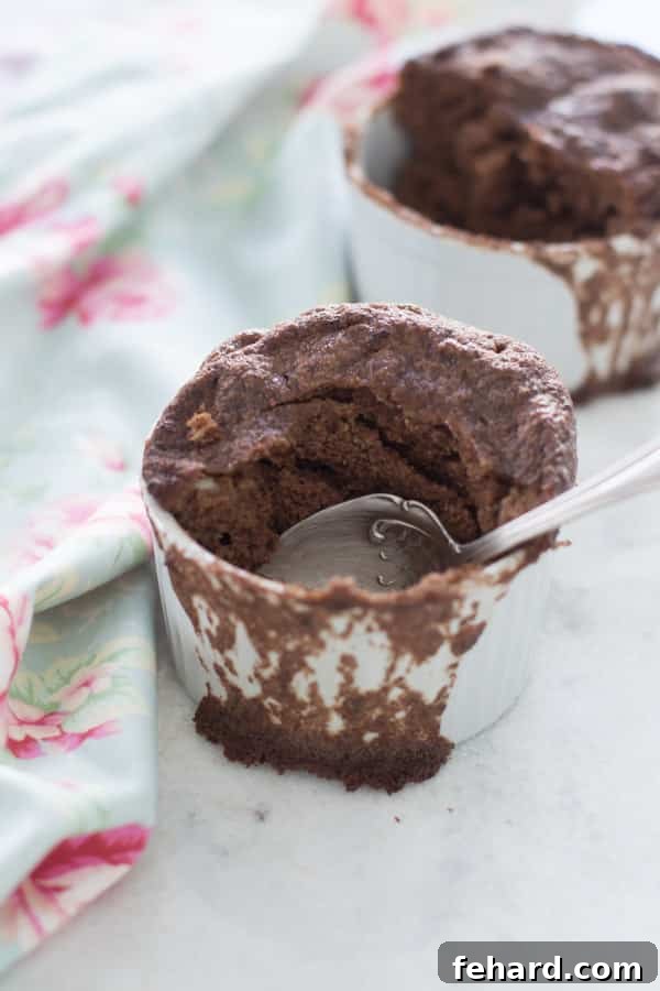 Gluten-free Chocolate Mug Cake - Close-up of a deliciously moist and rich gluten-free chocolate mug cake, perfect for a quick snack or dessert.