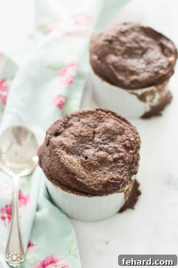Gluten-free Chocolate Mug Cake - A beautifully baked gluten-free chocolate mug cake, garnished and ready to enjoy.