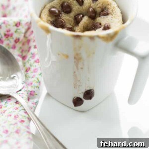Final image of Gluten-free Mug Cake On-the-Go.