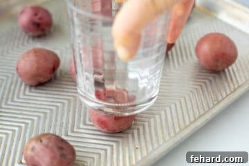 Cup pushing down on boiled baby red potaotes.