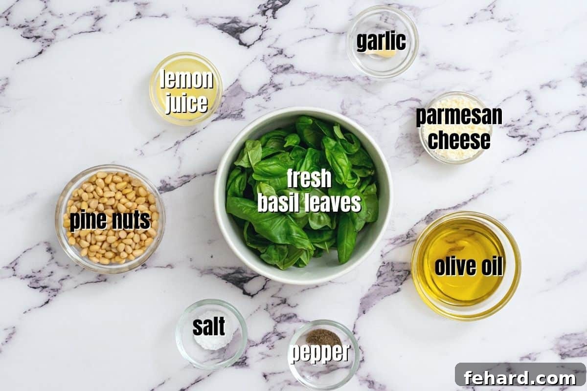 Labeled ingredients for basil pesto laid out on a kitchen counter, emphasizing freshness.