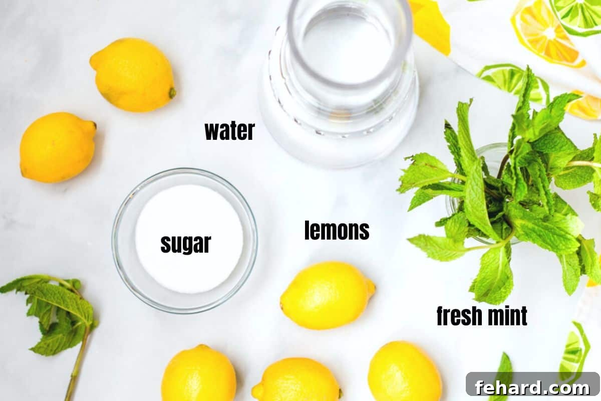 Fresh Lemonade with Mint Ingredients for lemonade with mint on counter: lemons, mint, sugar, water.