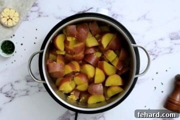 Fork-tender red potatoes inside a large pot.