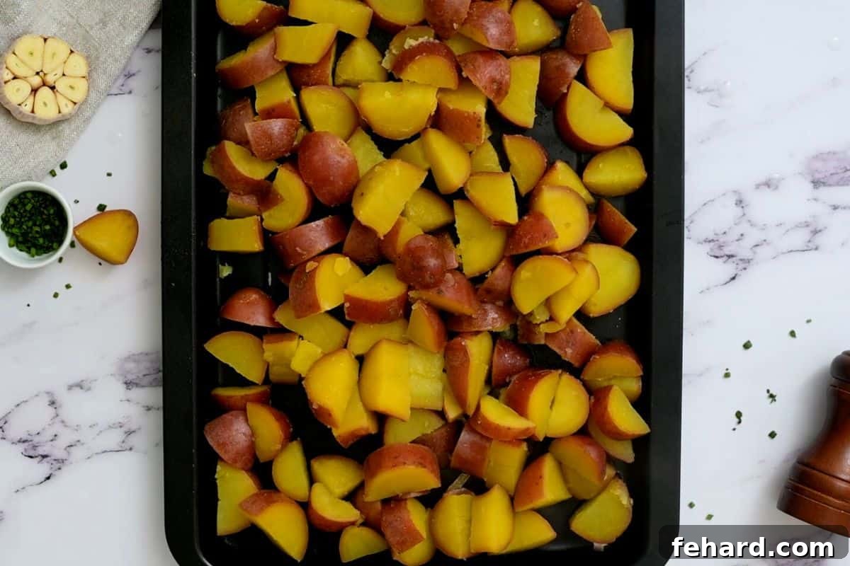 Boiled Red potatoes on baking sheet cooling after cooking.