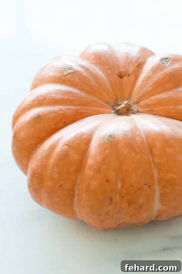 A whole pumpkin, halved, and scooped out seeds, ready for roasting to make homemade pumpkin puree.