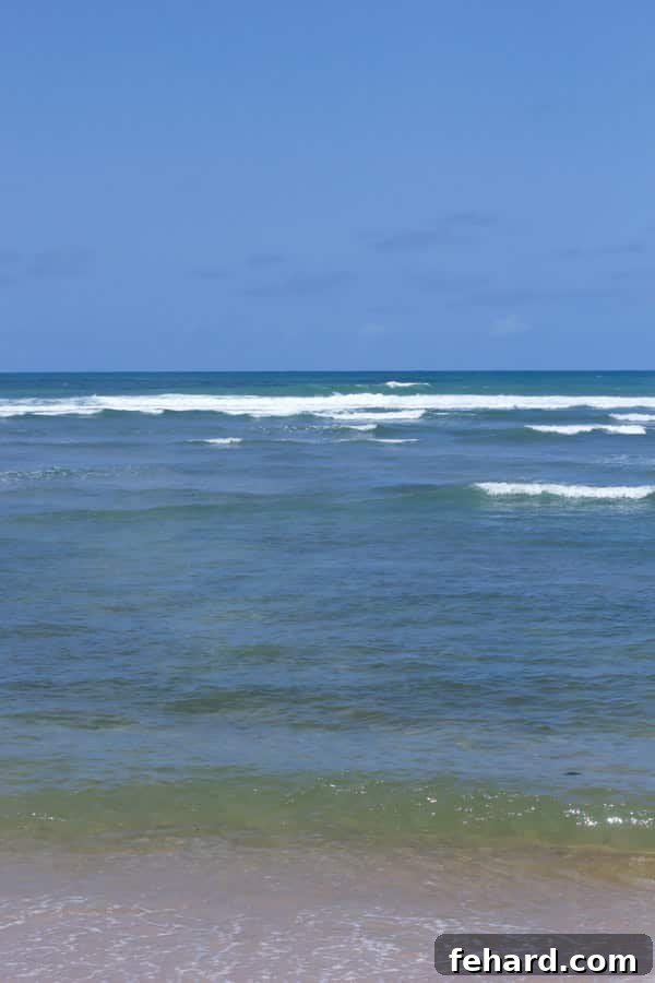 The author's family enjoying their last sun-drenched day on the pristine, clear waters of Praia do Forte, Brazil.