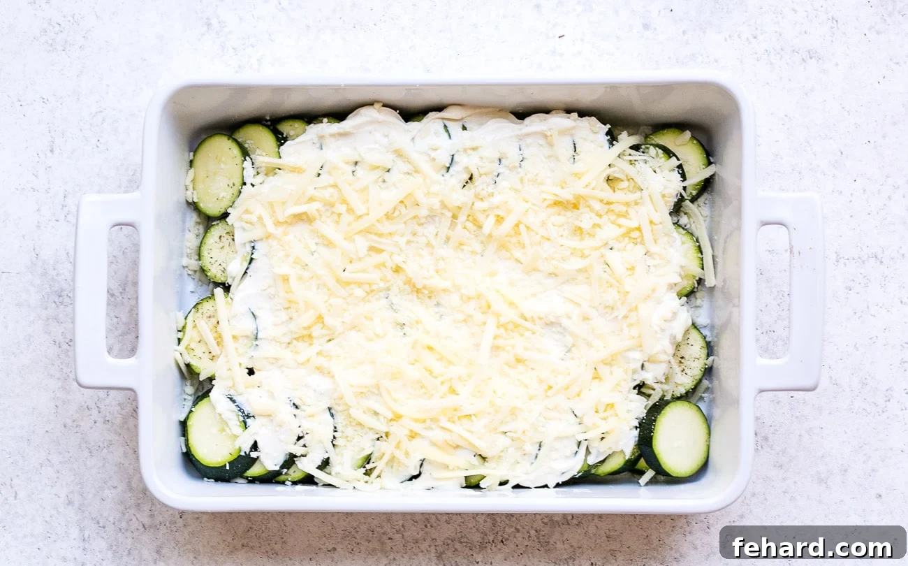 Golden Zucchini Gratin 6 Zucchini slices slathered in cream cheese sauce mixture and sprinkled with mozzarella cheese.