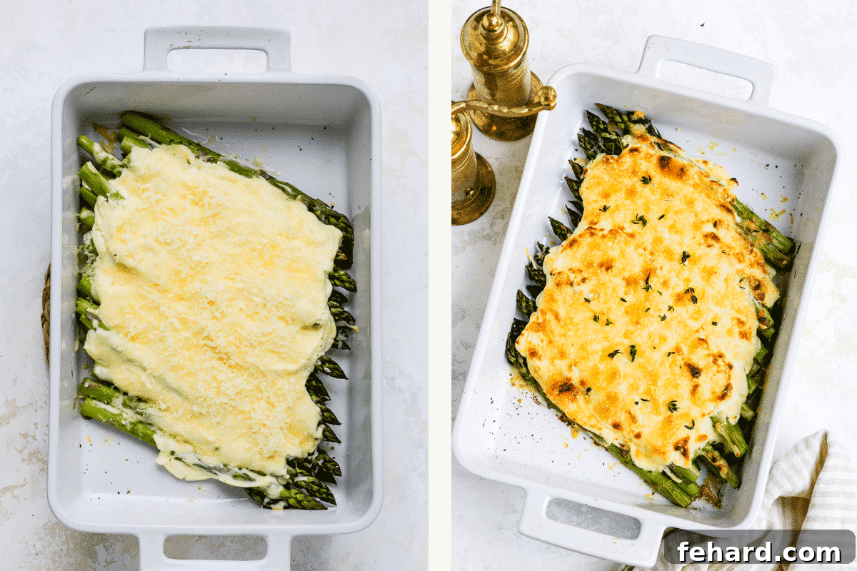 Golden Asparagus Gratin 6 Left: Asparagus casserole baked until bubbly. Right: Casserole topped with Parmesan and broiled to a golden finish.