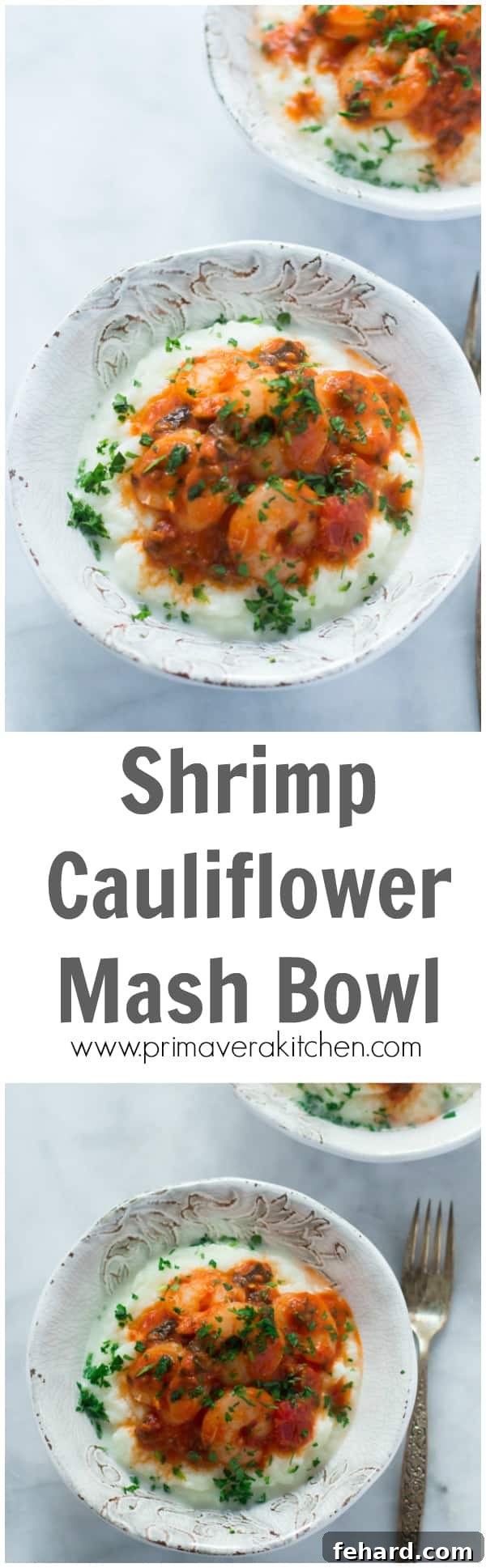 Delicious Shrimp Cauliflower Mash Bowl, top view