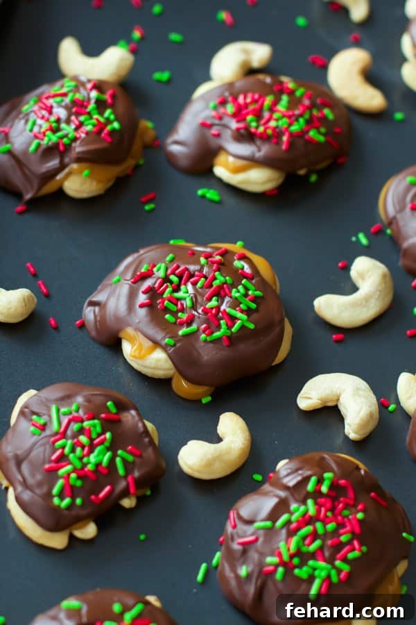 Christmas Dulce de Leche Cashew Turtles - a rich and nutty holiday treat.