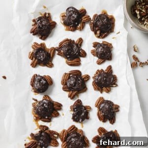 Chocolate Turtles