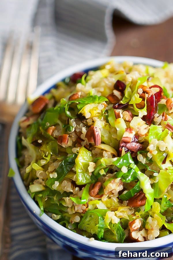 Close-up of Warm Quinoa Brussels Sprouts Salad showcasing the ingredients and orange vinaigrette