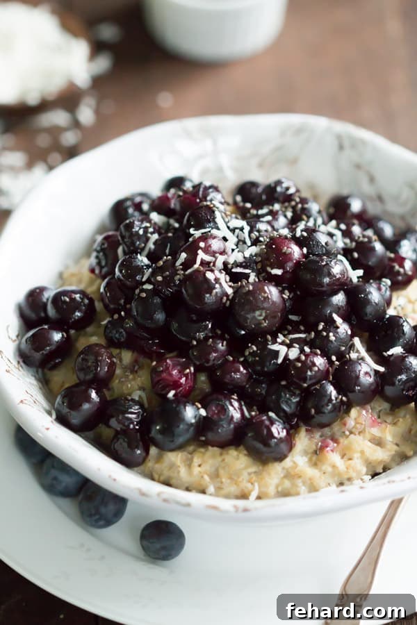 Roasted Blueberry Oatmeal, a vibrant and healthy breakfast idea.