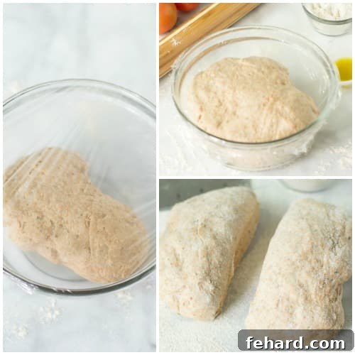 Proofed whole wheat pizza dough in a covered bowl, then divided into two portions