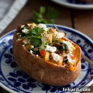 Savory Chicken and Goat Cheese Stuffed Sweet Potatoes 2 Goat Cheese Chicken Stuffed Sweet Potato Recipe