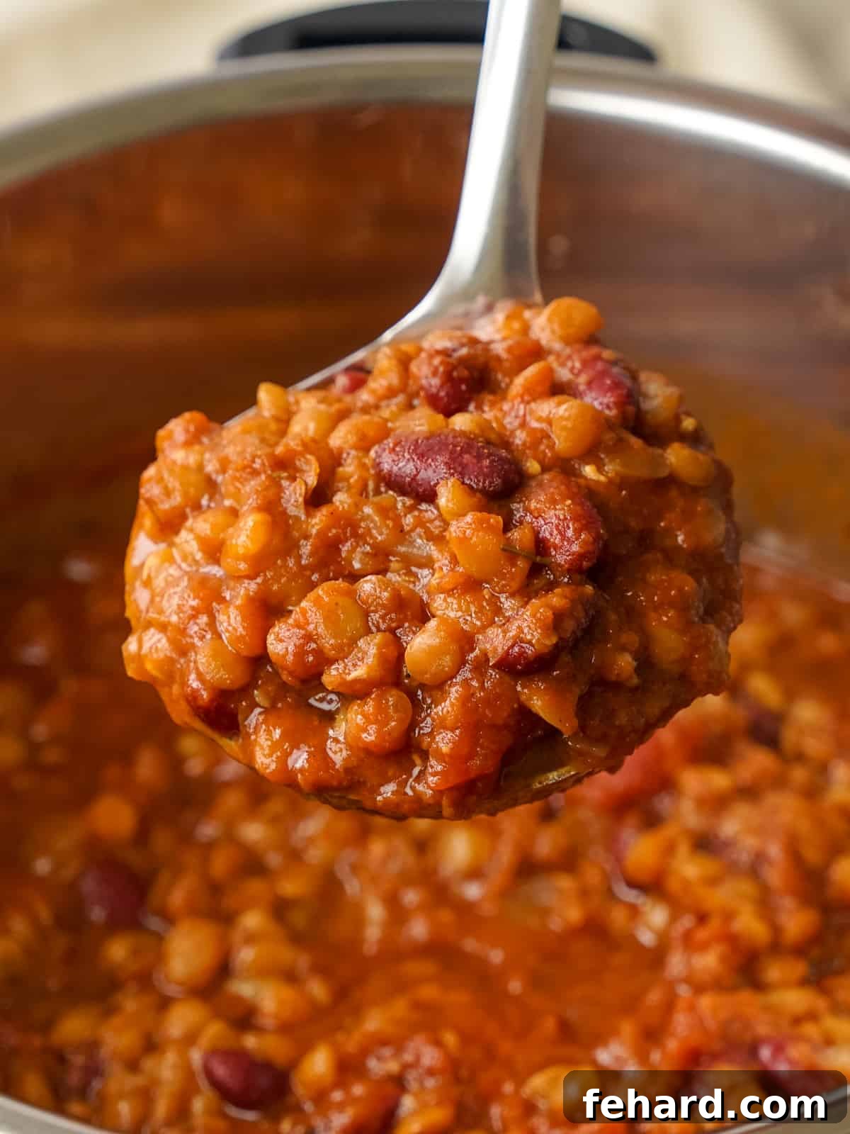 A ladle full of rich, homemade Lentil Chili, ready to be served.
