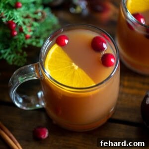 Yuletide Brew 2 Top down view of a glass of spiced Christmas tea served with an orange wedge and fresh cranberries.