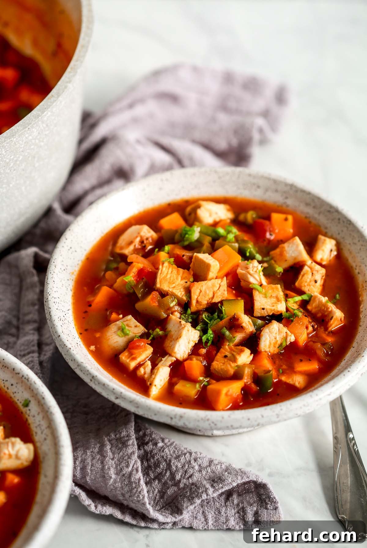 A close-up, angled view of a bowl filled with vibrant chicken vegetable soup.