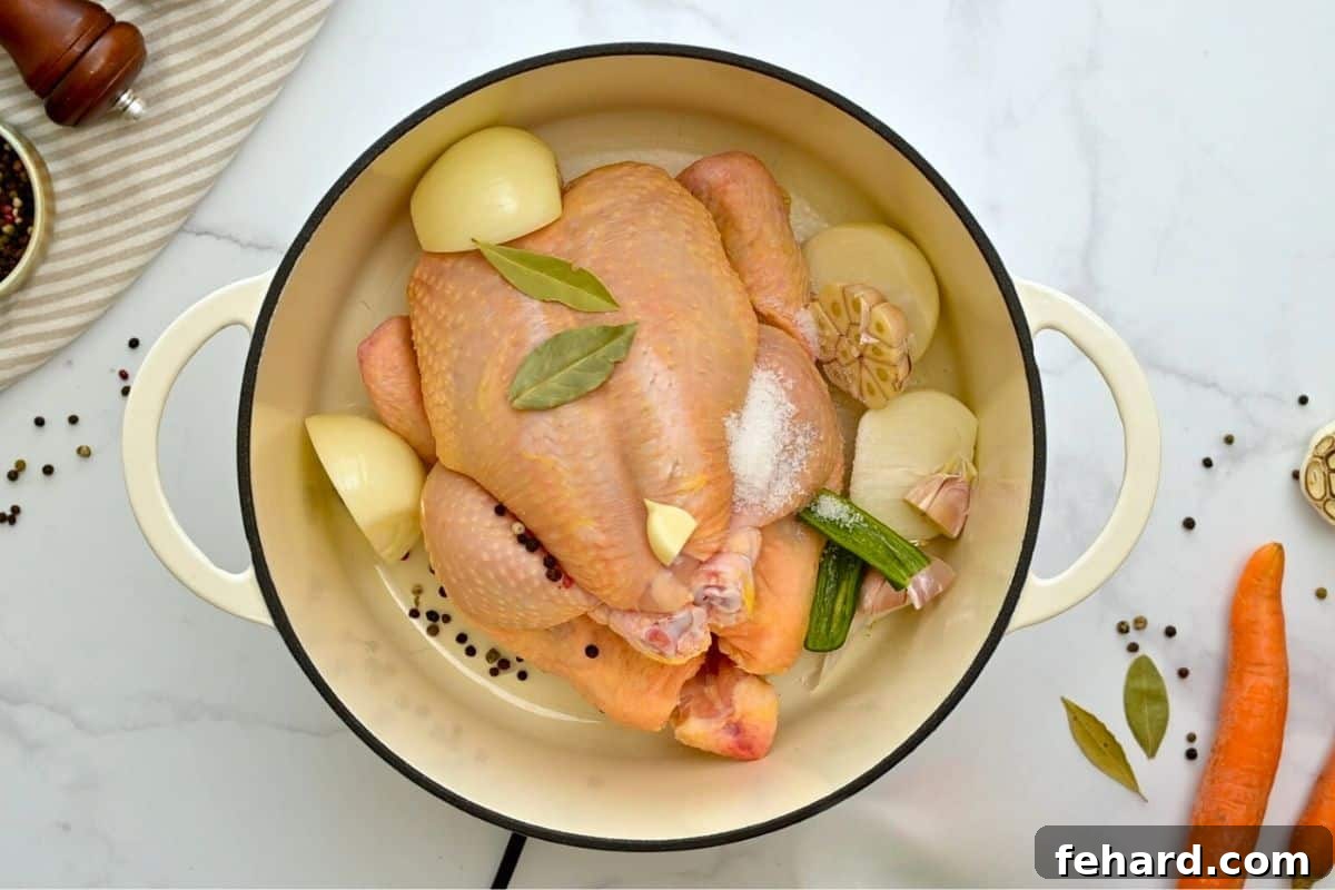 Whole Chicken in soup pan with seasonings before adding water.