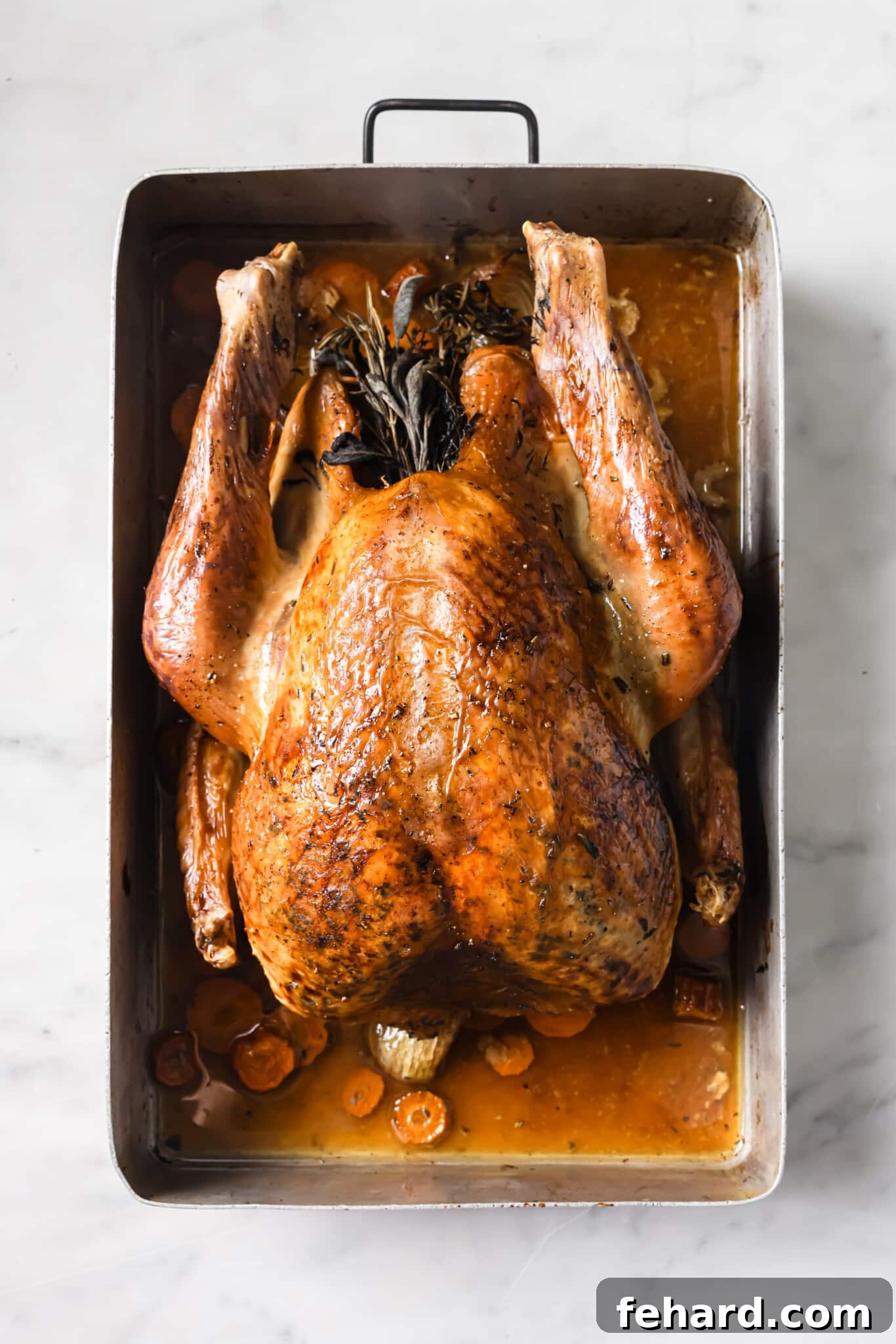 roasted turkey in roasting pan. 